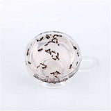 China Wild Chang Bai Shan Mountain Black Ant Vic Roger Polyrhachis Premuim 500g