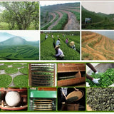 50g  Delight for A Healthy Lifestyle Premium Chinese Tieguanyin Oolong Tea