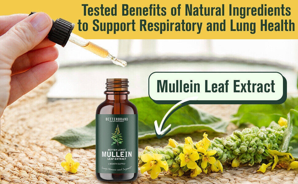 Support Lung Cleanse Mullein Leaf Extract Drops All-natural Ingredients