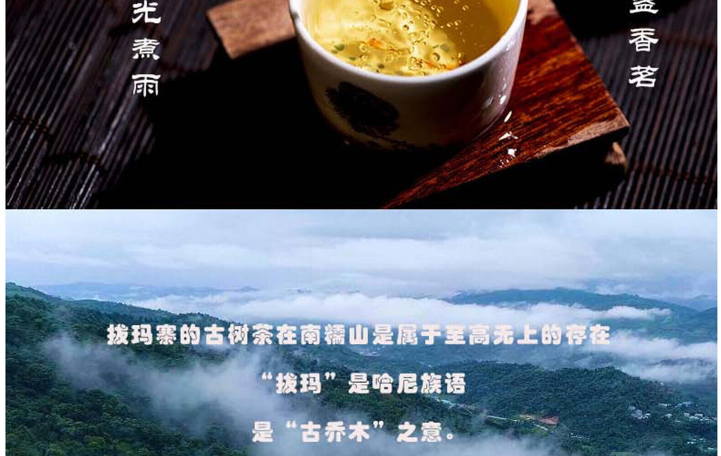 Yunnan Tea Nannuo Mountain Pema Ancient Tree First Spring Pu'er Raw Tea 100g