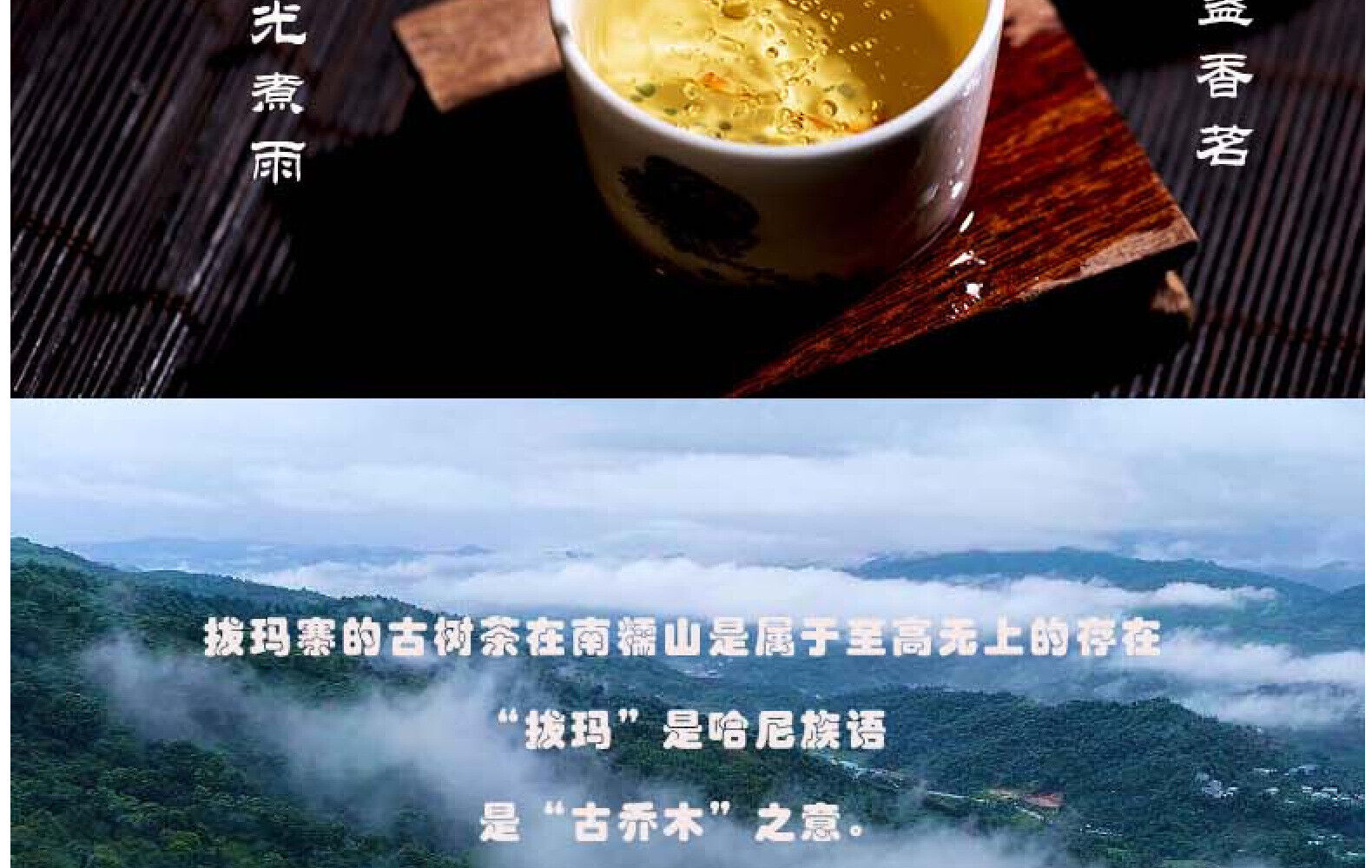 Yunnan Tea Nannuo Mountain Pema Ancient Tree First Spring Pu'er Raw Tea 100g