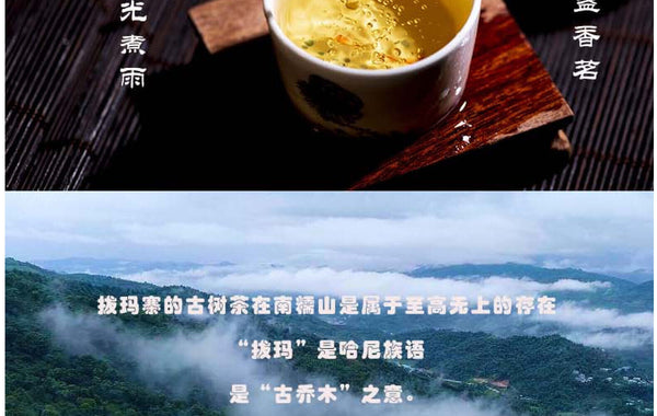 Yunnan Tea Nannuo Mountain Pema Ancient Tree First Spring Pu'er Raw Tea 100g