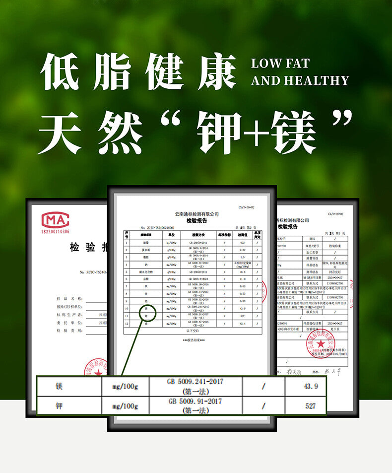 Premium Authentic Parana Pine Nuts Natural High Quality For Sale On Ebay