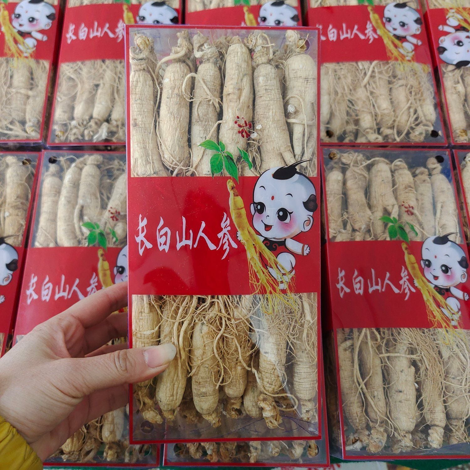 500g Mountain Premium Gift Box for Health Ginseng Whole Root from Changbai