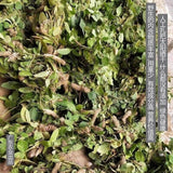 Wild Uraria Crinita Whole Herb 250g Premium Dried Traditional Chinese Medicinal