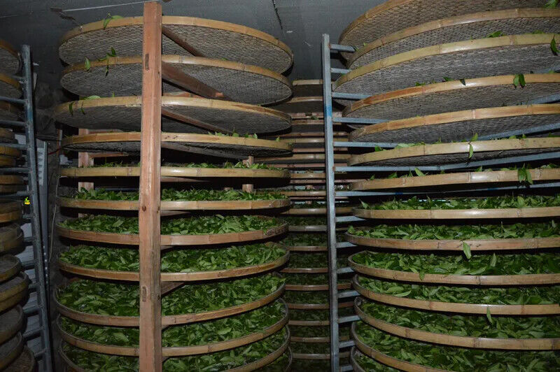 TieGuanYin Tea Fragrance Oolong Health Tea Anxi Tieguanyin Tea 64small Bags 500g