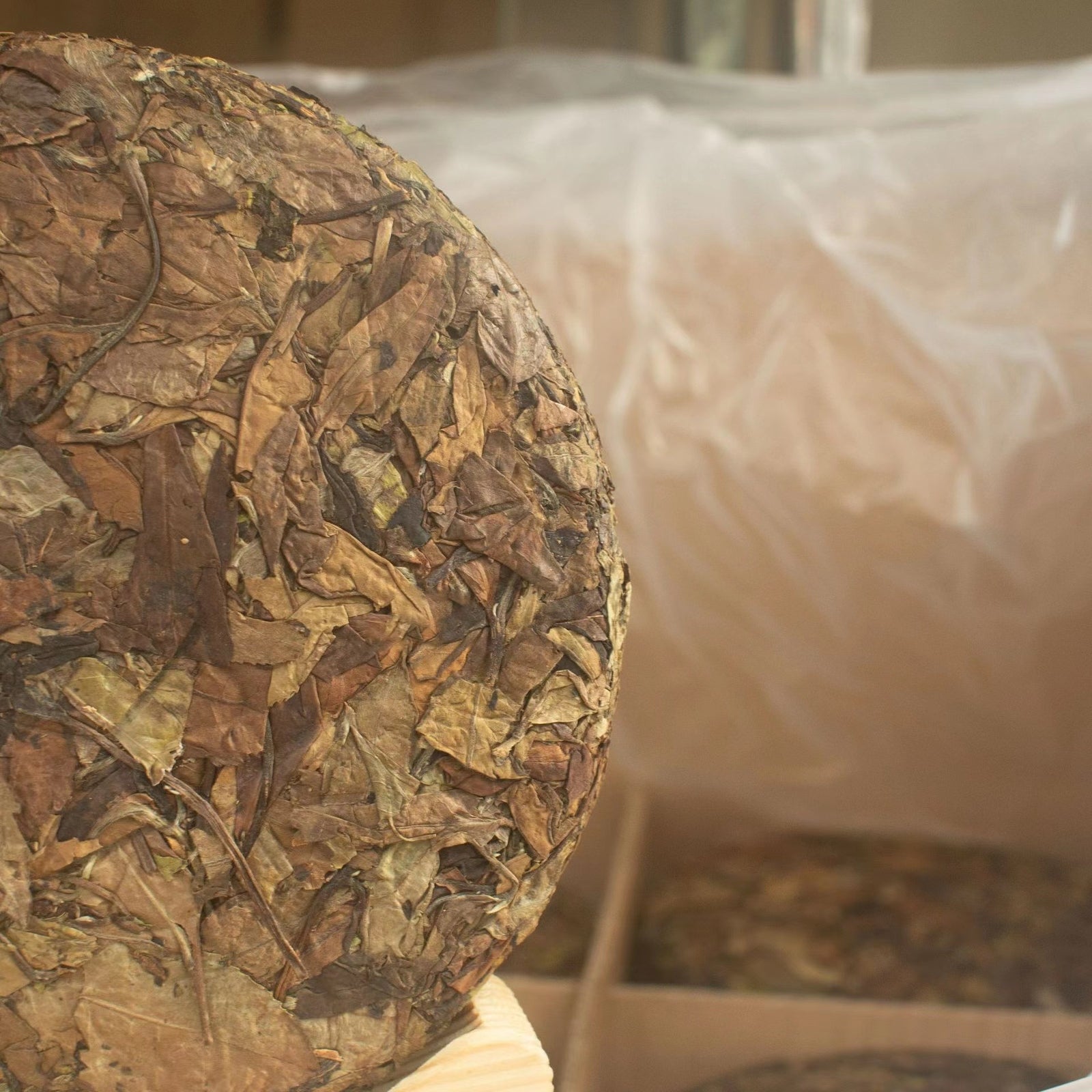 Fuding Old White Tea Aged Old White Tea Longevity Eyebrow Date Fragrance 350g