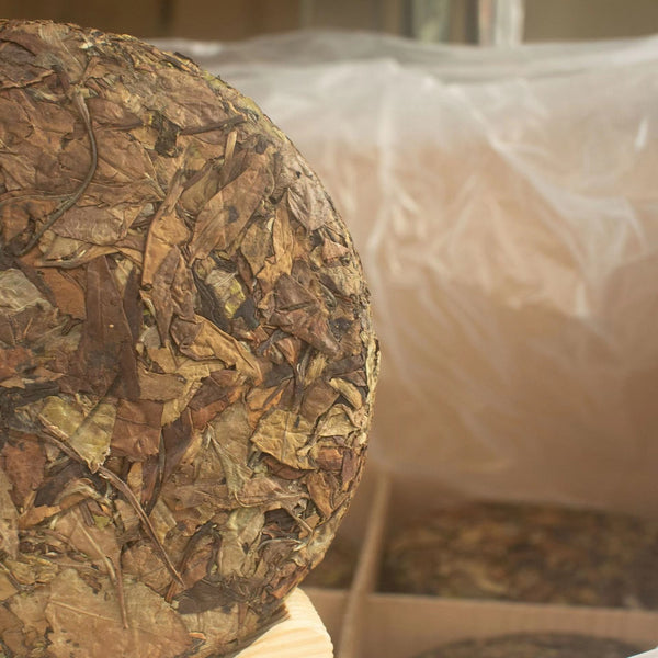 Fuding Old White Tea Aged Old White Tea Longevity Eyebrow Date Fragrance 350g