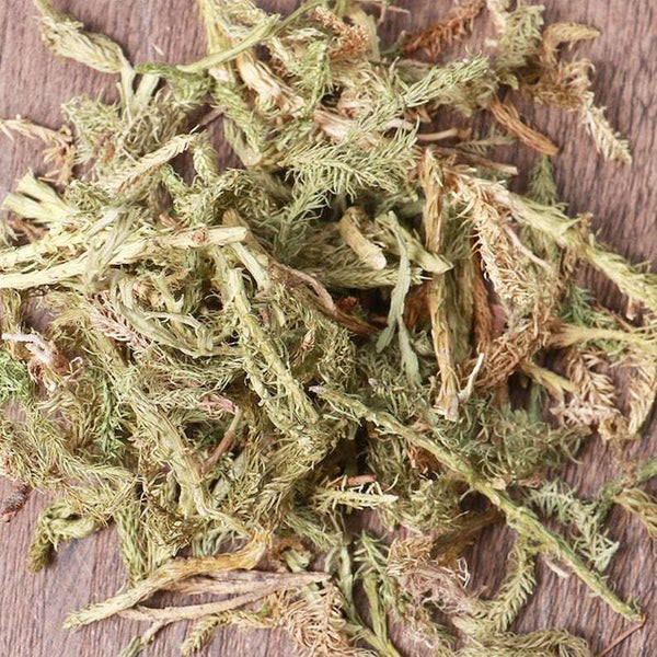Organic Herbal Common Clubmoss Herb Herbal Lycopodii Great Quality
