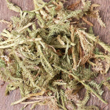 Organic Herbal Common Clubmoss Herb Herbal Lycopodii Great Quality