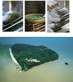 Yellow Tea Junshan Tea Xiangdao Brand Junshan Silver Needle Tea 50g - 100g Tin