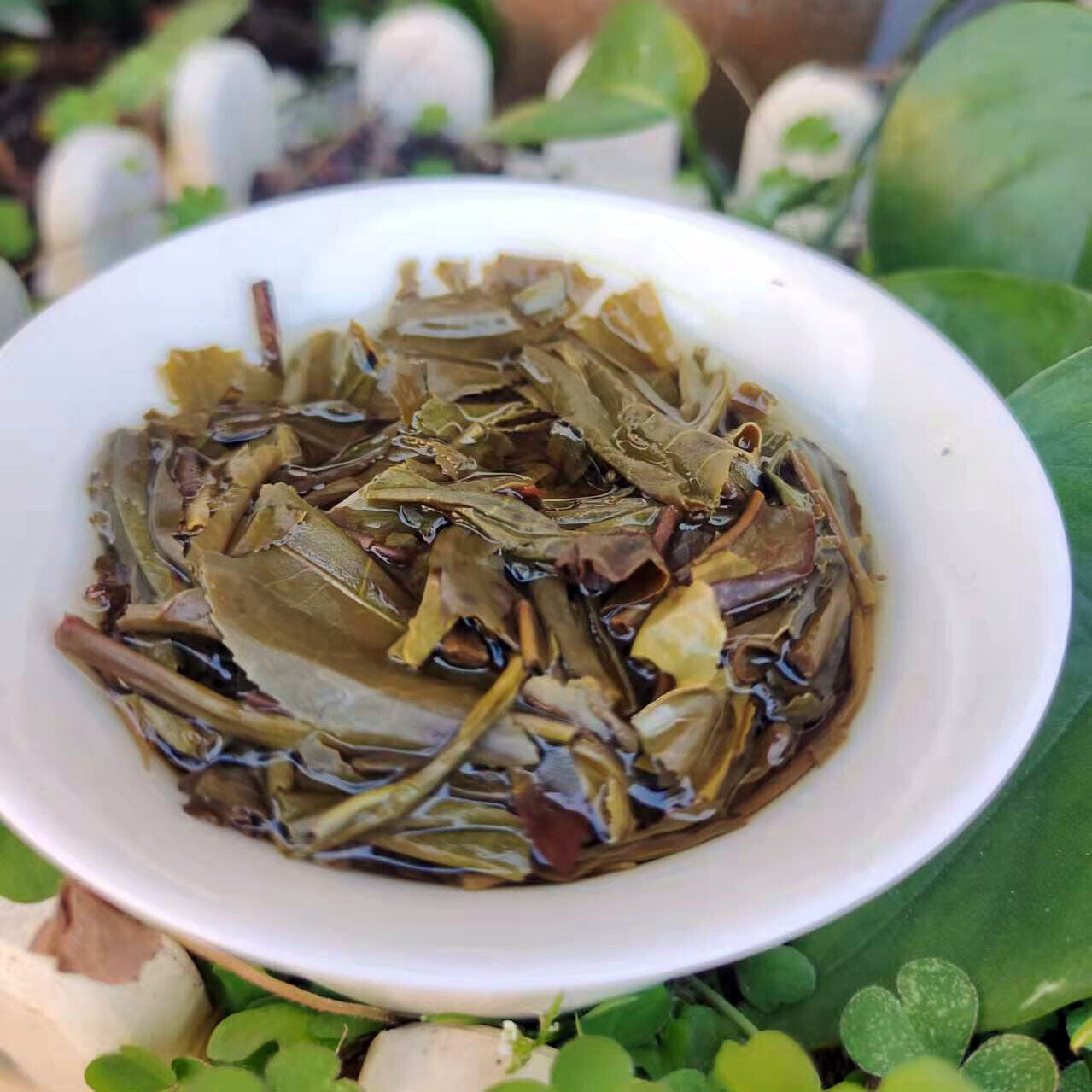 Puerh Tea Brown Mountain Wuzhai First Spring Puerh Raw Tea Cake 357g/12.59oz