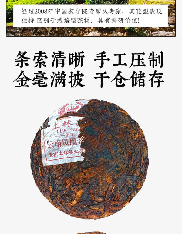 Tulin Phoenix Pu-erh Ripe Tea Yunnan Phoenix Tuocha 100g Aged Tree Wood Aroma
