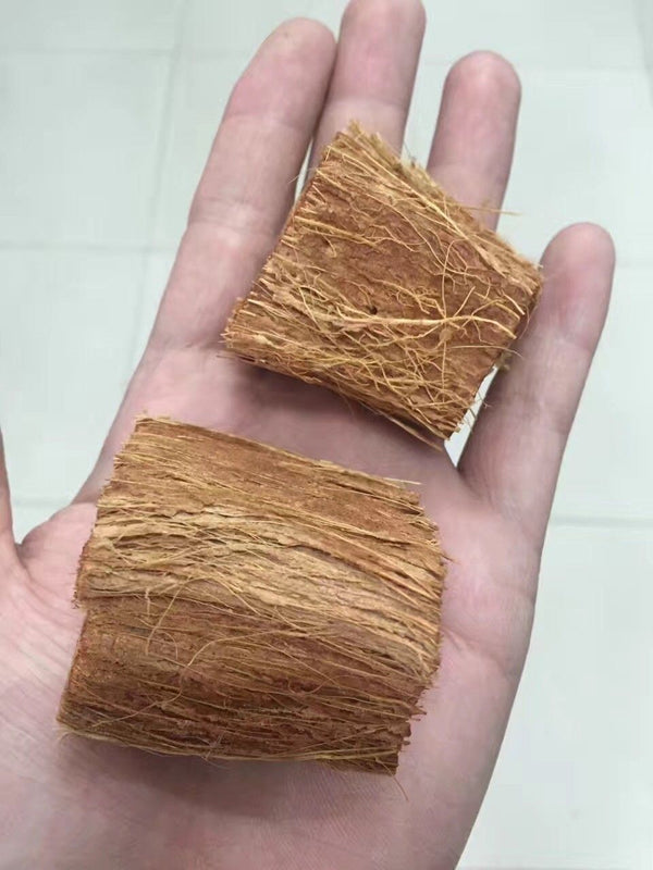Organic Coconut Husk Chips 4-6cm Husk fiber Orchids Anthodium Growing Medium