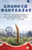 Cordyceps Sinensis Plump and Non-breaking Grass 4 Pieces/g Dong Chong Xia Cao