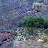 250g Da Hong Pao Tea Big Red Robe Tea Black Tea Oolong Dahongpao Wuyi Rock Tea 茶