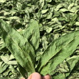 250g/ 500g Sun Dried Toon Leaves Toon Tea Fresh Leaves Dried Toon Leaves