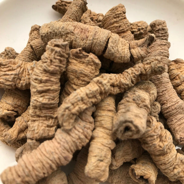 New Baji Tian Chinese Herbs Dried Baji 500g