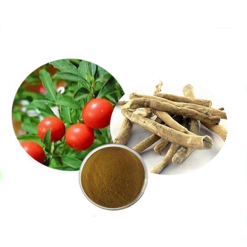 100g  Organic, Non-GMO Withania Somnifera Ashwagandha Root Extract 10:1 Main image