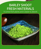 Barley Grass Juice Powder Cold Processed Young Leaf Extract Natural 45g