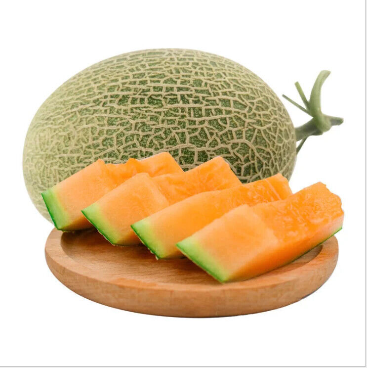 Cantaloupe Fruit Honeydew Hami Melon Extract Powder Water Soluble Beverage