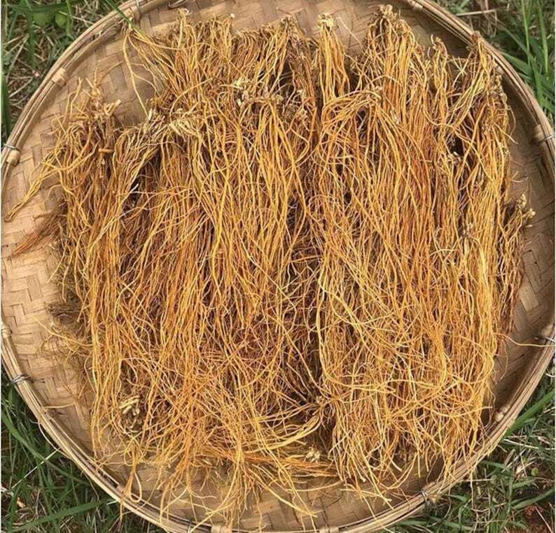 250g Driedgentian root Long Dan Cao Herb Gentiana Radix Medicinal Chinese Herbs