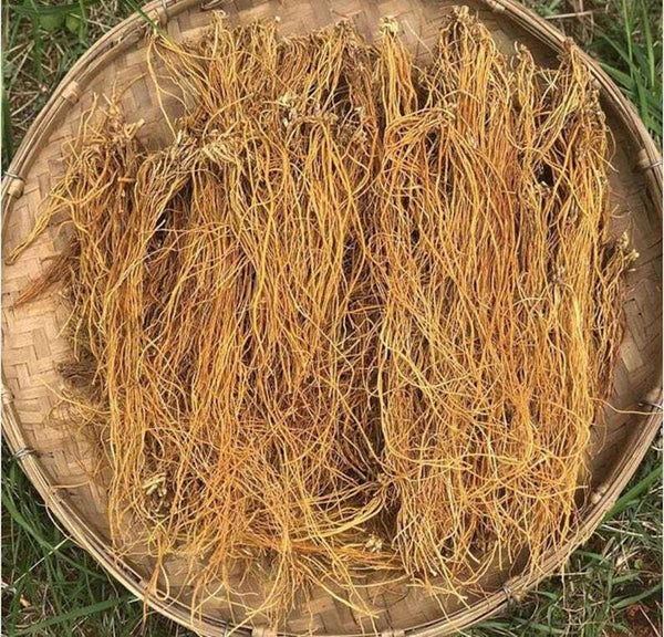 250g Driedgentian root Long Dan Cao Herb Gentiana Radix Medicinal Chinese Herbs