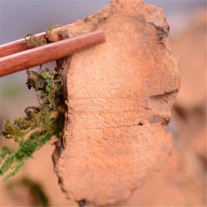 250g Organic Wild Sarsaparilla Root Smilax Glabra Tu Fu Ling Herbs Secondary image