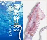 Shredded Squid Dried Seafood Snack Ready-to-Eat Squid Strips for Tasty Munch