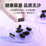 200g Dried Black Mulberries No Sand Premium Grade Sweet and Fragrant