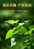 100g Mulberry Leaves Tea Frost bitten New Crop Health Care