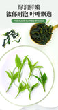 100g Buds Leaf of Chinese Holly New Kuding Tea  Fresh Bitter Tea Leaves Young