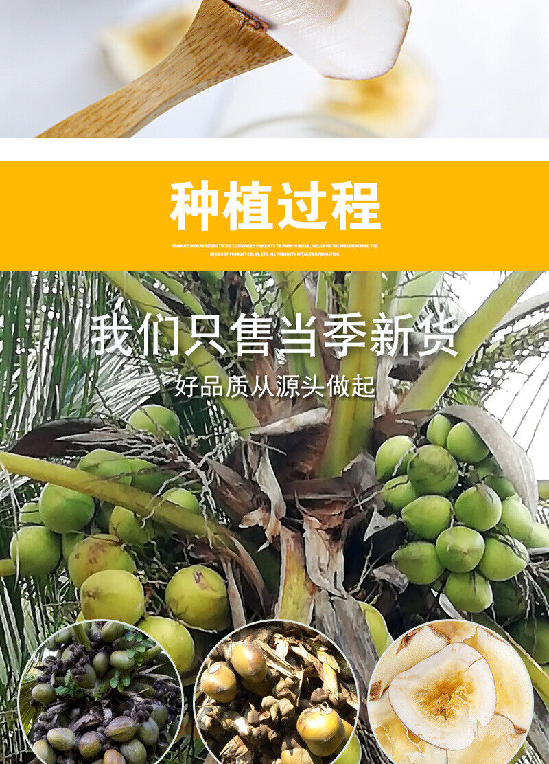 Sea Coconut Flakes Bulk Dried Coconut Dried Sea Coconut Flakes 500g