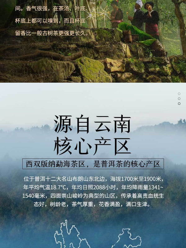 Yunnan Puerh Ancient Tea Ripe Tea Cake Menghai 10 Years Old Tea 357g
