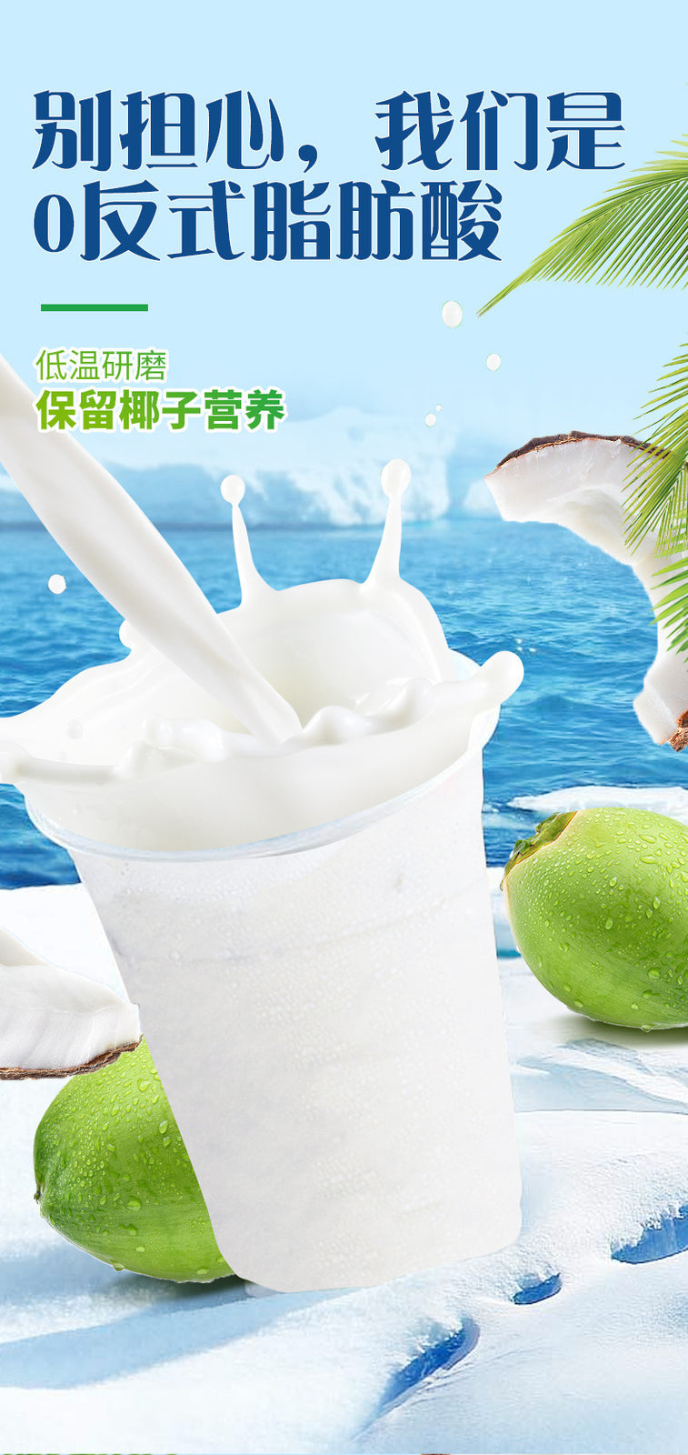 Premium Coconut Powder – For Drinks, Baking & Desserts (500g)
