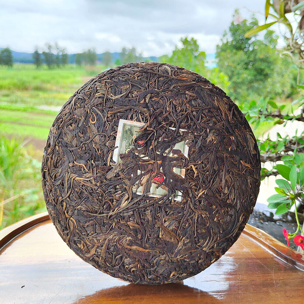 357g Yunnan Old Raw Tea Pu'er Aged Gaoligongshan High Altitude Eco