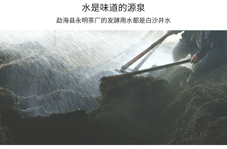 2022 Spring Tea Xiaohusai Pu'er Tea Raw Tea Yunnan Lincang Ancient Tree