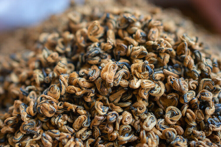 Fengqing Dian Hong tea gold snail spring tea Yunnan black tea red snail gold bud