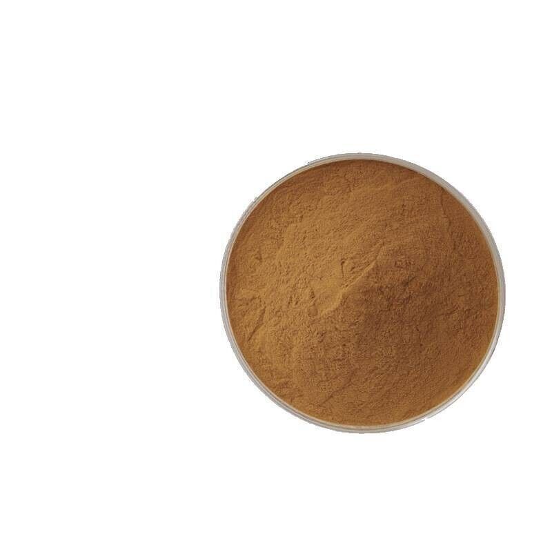 Premium St. John’s Wort 20:1 Extract Powder 500g Mood Support Herb Main image