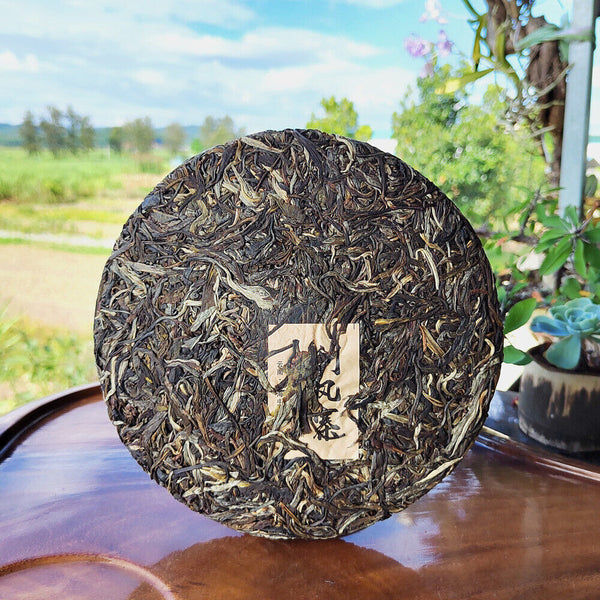 Scraping Walled Pu'er Tea Cake Yiwu Ancient Tree Raw Tea First Spring Yunnan Tea