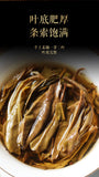 500g 8g/pc Icelandic Dragon Pearl Pu-erh Raw Tea Handmade Dragon Pearl Tuocha