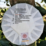 357g Natural Organic Arbor Pu'er Tea Top Yiwuqingbing Health Care Pu'er Cha Tea