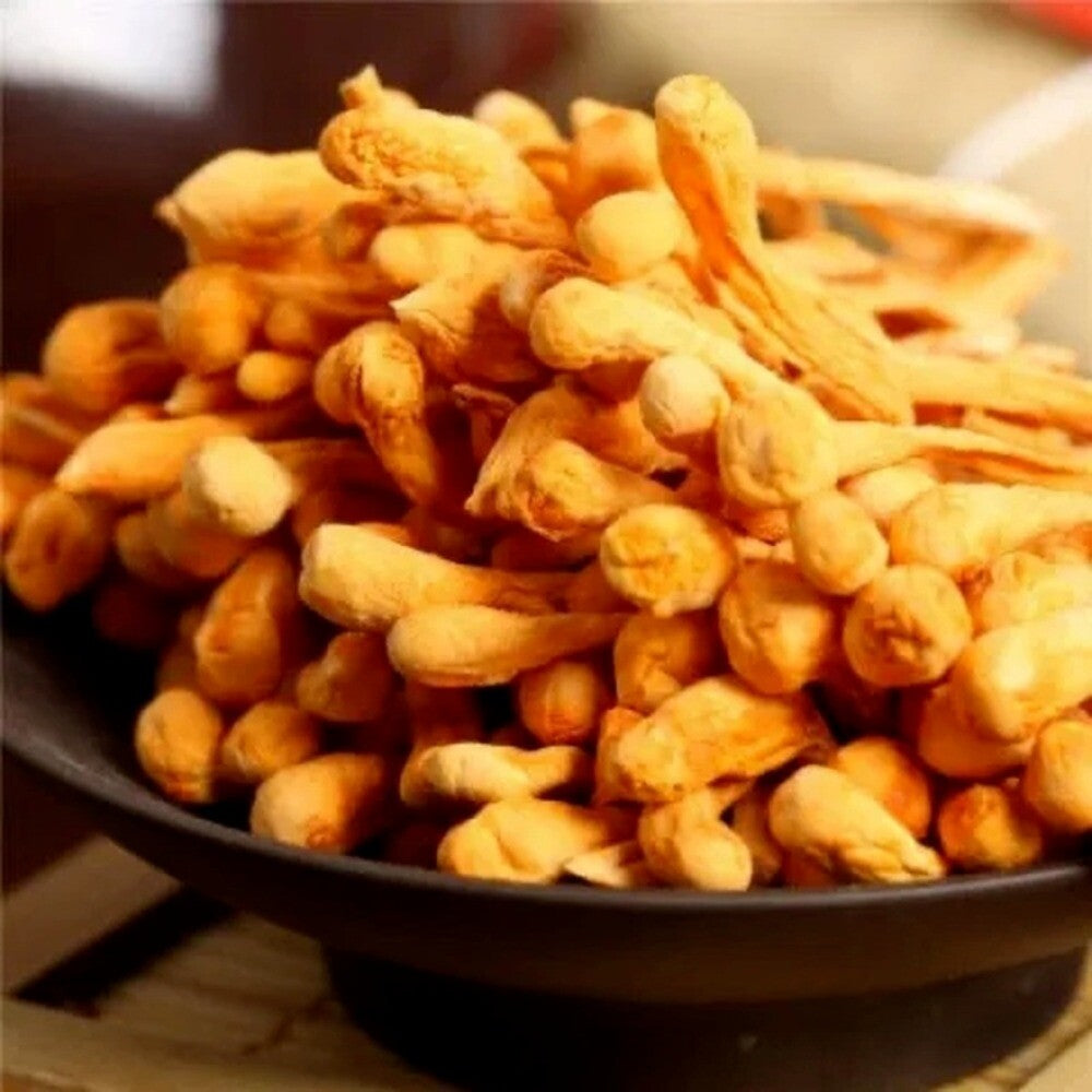 250g Bio Cordyceps Sinensis Dried Mushroom Traditional Chinese Herb