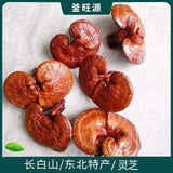 Changbai Mountain Ganoderma Lucidum Red Lingzhi Purple Lingzhi Edible Fungi 500g