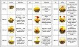 Handmade Gomphrena 20 Flavors of Blooming Flower Tea Ball 20pcs