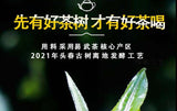 2022 Ancient Tree Raw Pu-erh Mini Cake 100g Spring Harvest Sheng Puer
