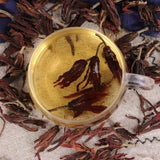 Magnolia Flower Magnolia Grandiflora Dried Flower Tea Magnolia Blanca Flower Tea