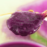 Crispy Sweet Potato Chips Fresh Baked Healthy Snack Natural Flavor 500g