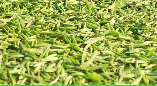350g Fuding white tea white peony white tea cake alpine Panxi first spring tea