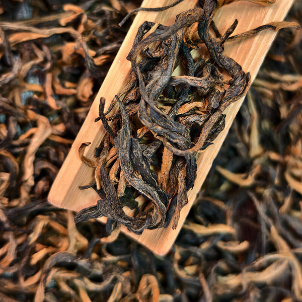 Yunnan Fengqing Dianhong Ancient Tree Black Tea Loose Leaf Mini Can Gift Box